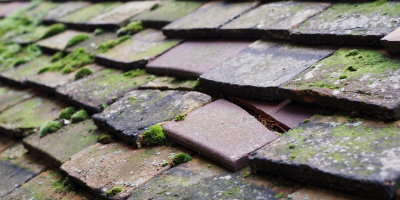 Llangwyryfon roof repair costs